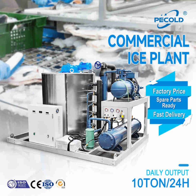 flake ice machine for fish
